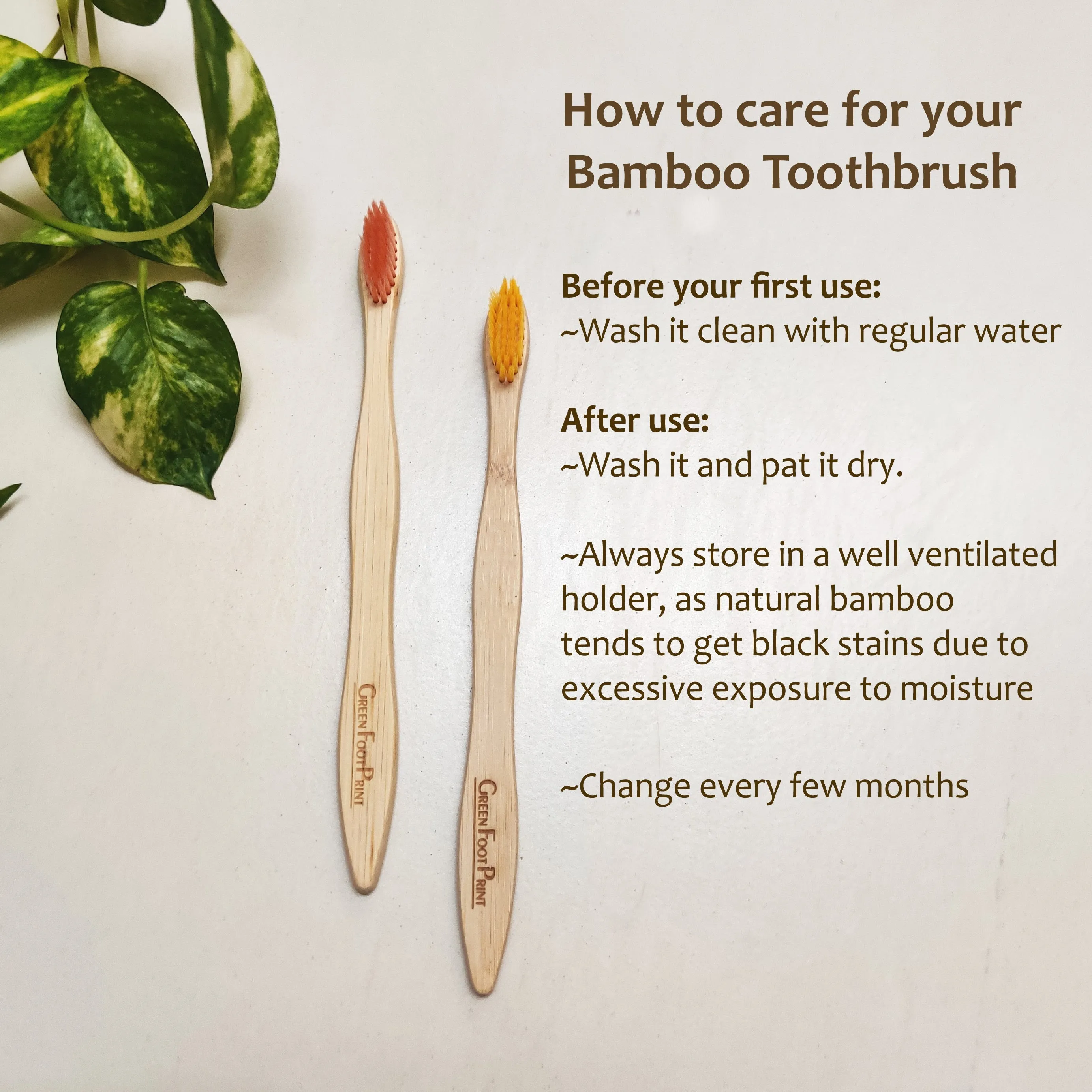 2 Bamboo Toothbrush & Bamboo Earbuds Combo