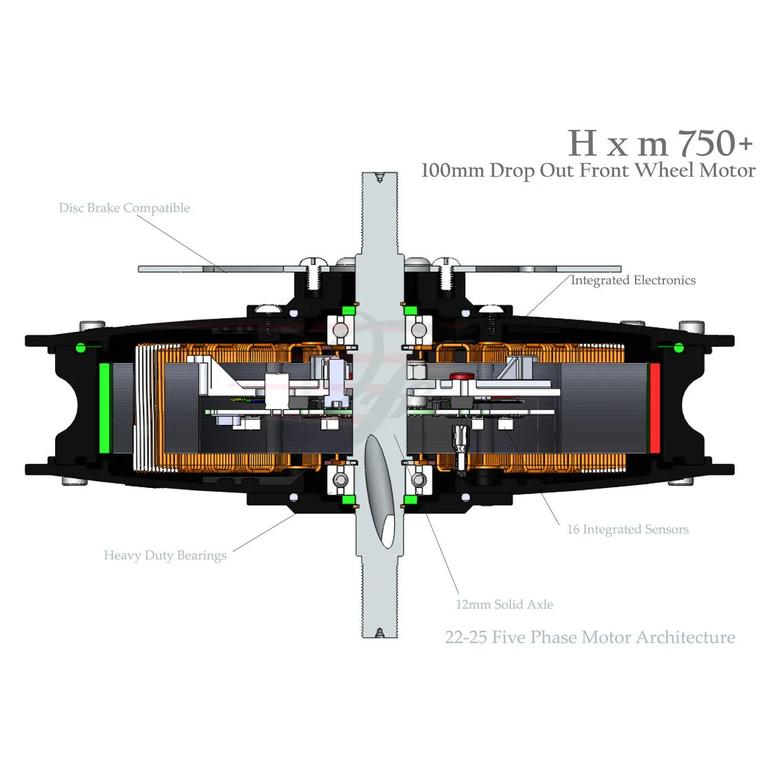 750  (100mm) 750W Motor with 100mm Drop Out