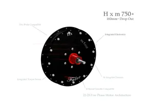 750  (160mm) 750W Motor with 160mm Drop Out