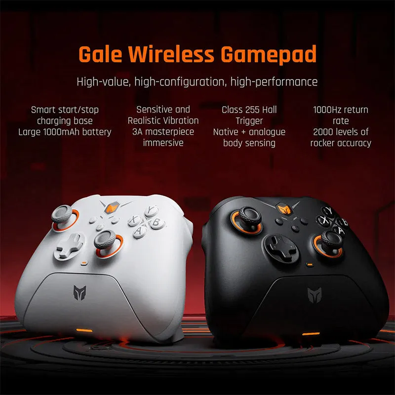 BIGBIG WON GALE HALL Wireless Game Controller