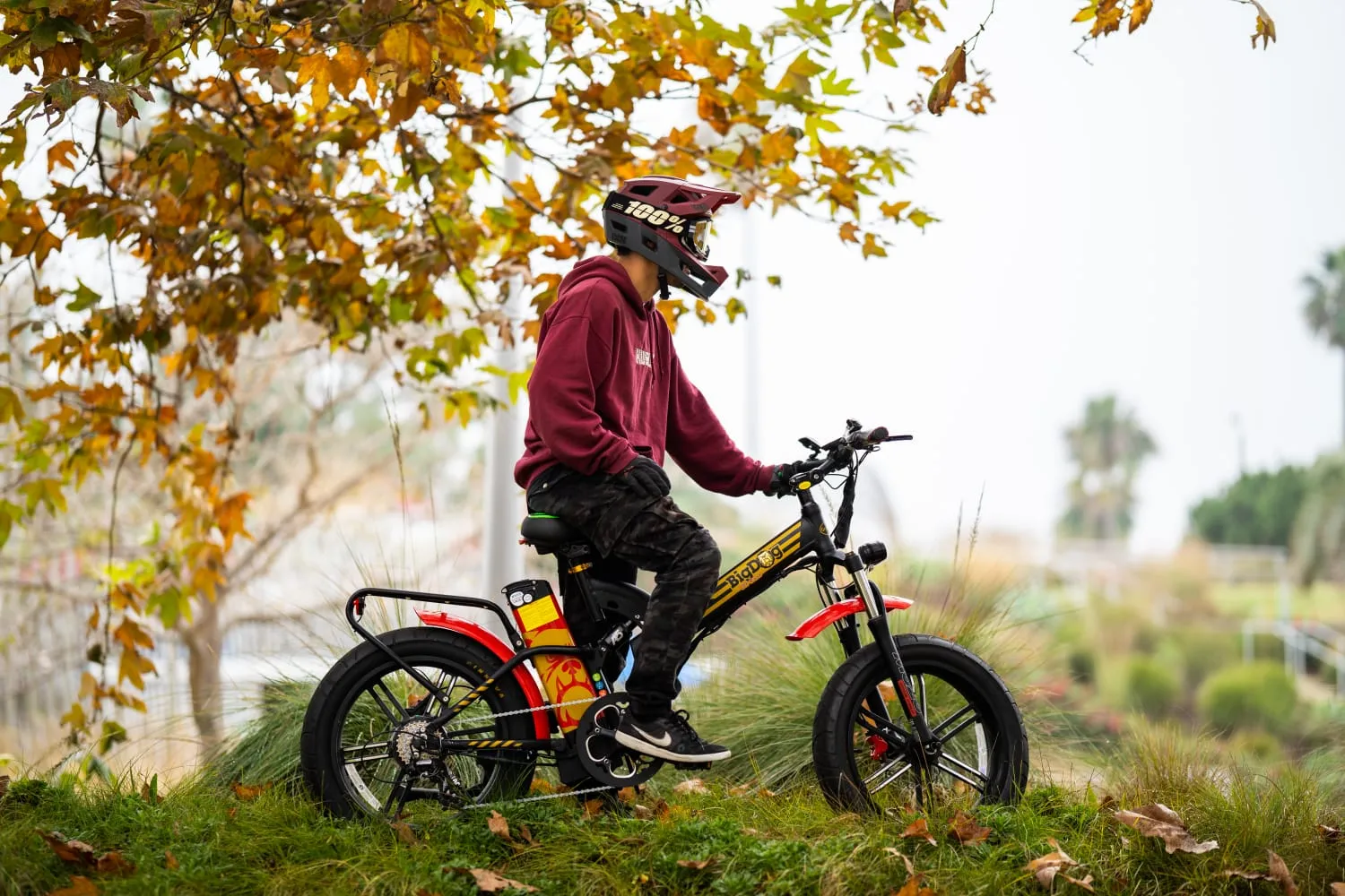 GreenBike Electric Motion Big Dog Off Road 48V 750W Electric Bike