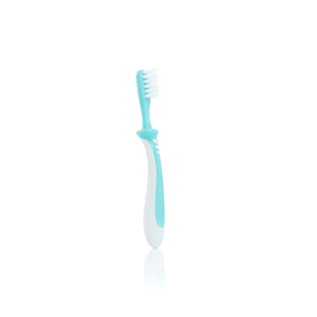 Pigeon Training Toothbrush Lesson 3 - Green (NEW)