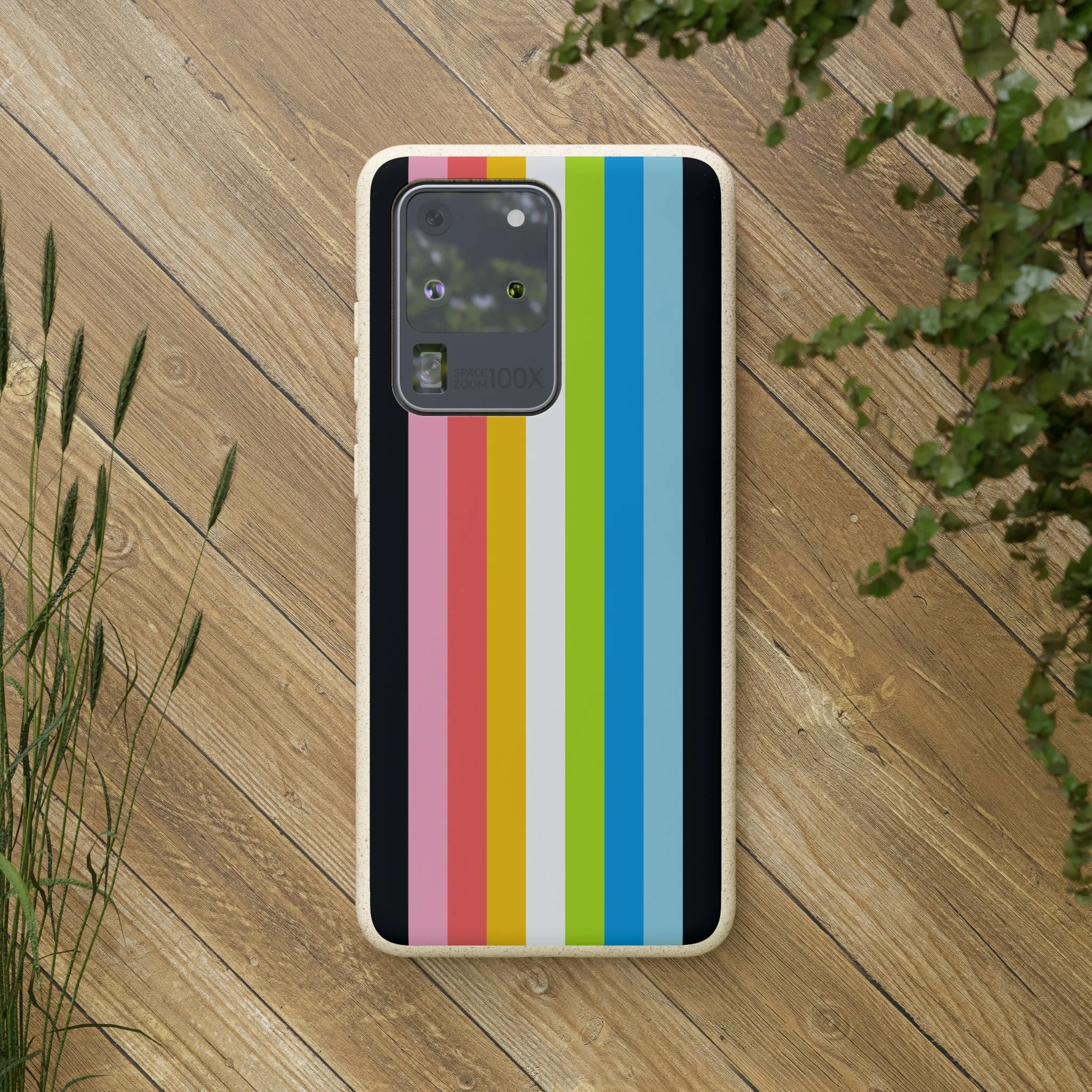 Queer Pride Eco-Friendly Phone Case