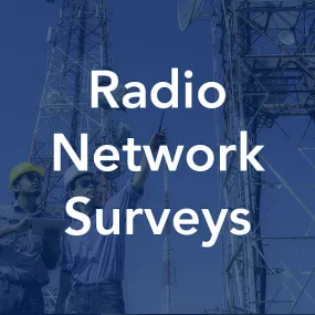 Radio Network Surveys