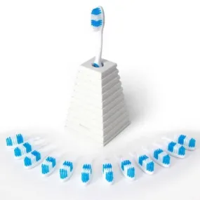 Toothbrush with Monthly Replacement Heads